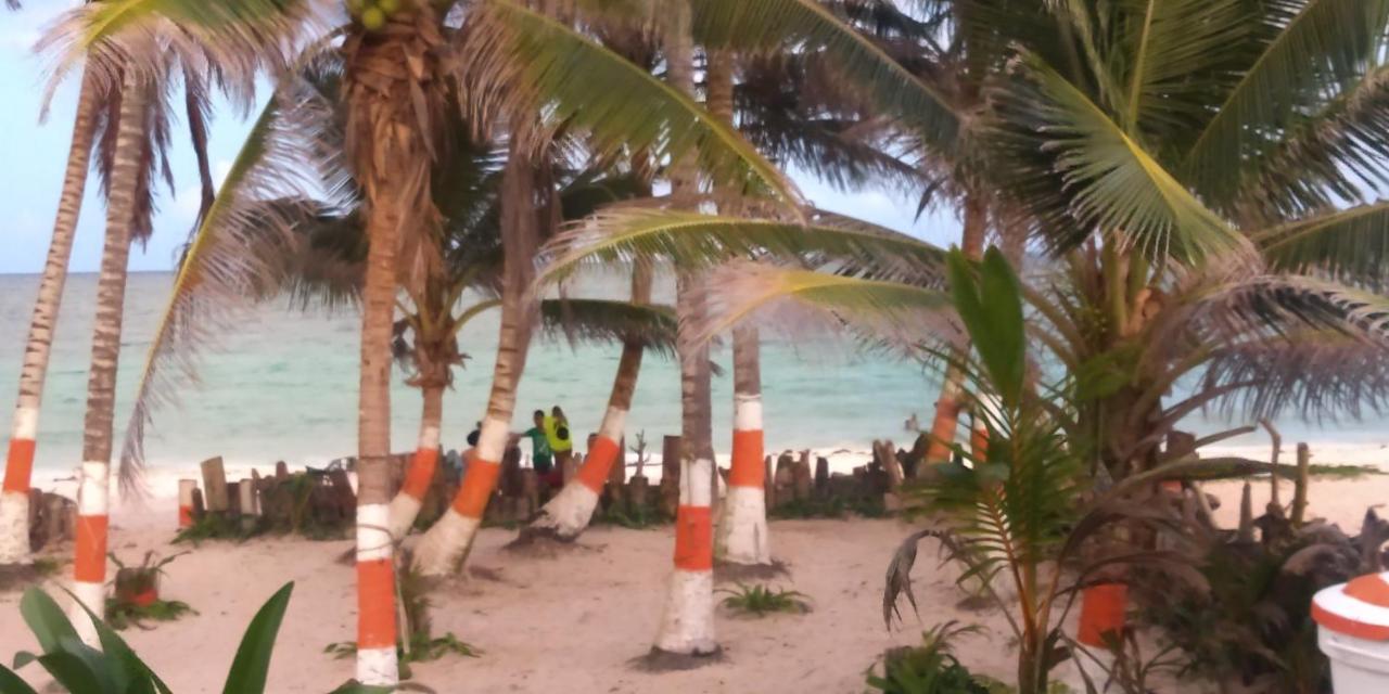 Sunny Beach Apartments San Andrés Exteriér fotografie